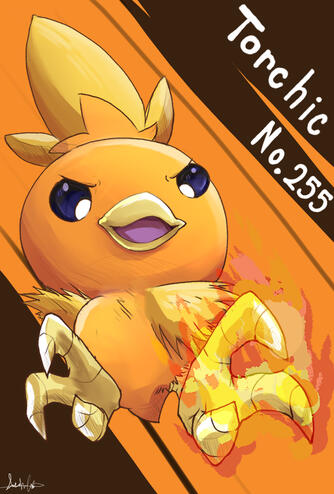 Torchic from Pokemon